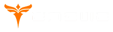 Engwe